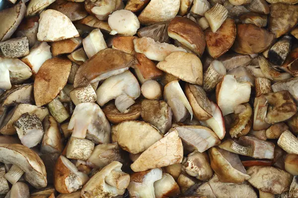 Preparados para cozinhar cogumelos . — Fotografia de Stock
