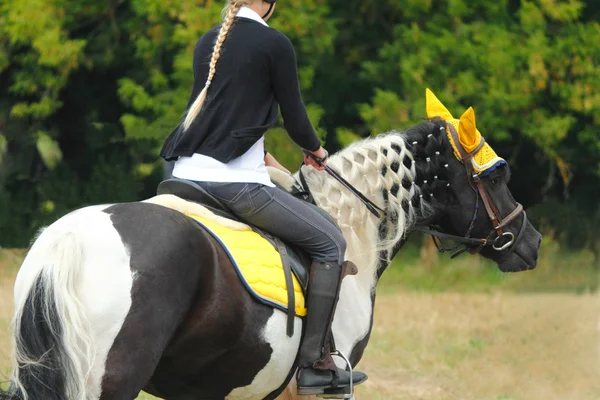 Belles compétitions d'équitation — Photo