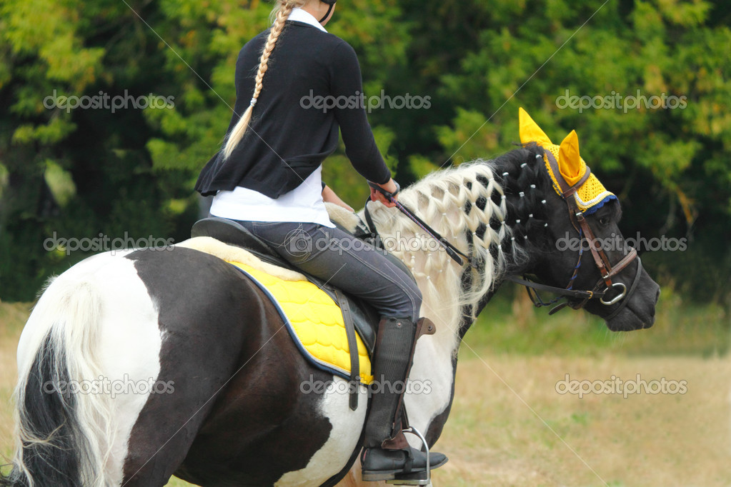 Beautiful horse riding competitions — Stock Photo © 31351019