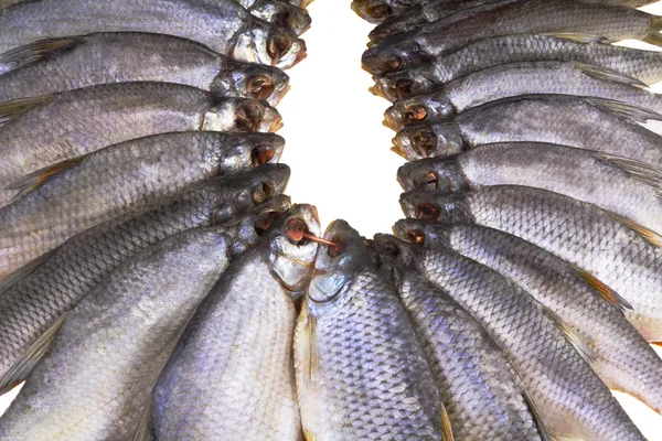 Pescado de río salado y seco sobre fondo blanco . —  Fotos de Stock