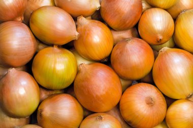 Sebzeler: çok sayıda büyük olgun luke.