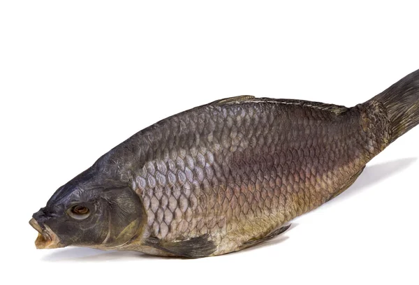 Соленая и сушеная речная рыба на белом фоне . — стоковое фото