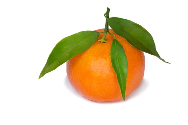 Mandarin with green foliage. — Stock Photo, Image