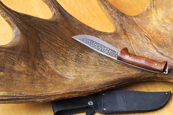 Hunting knife sheath and a trophy hunter - big elk horn. — Stock Photo, Image