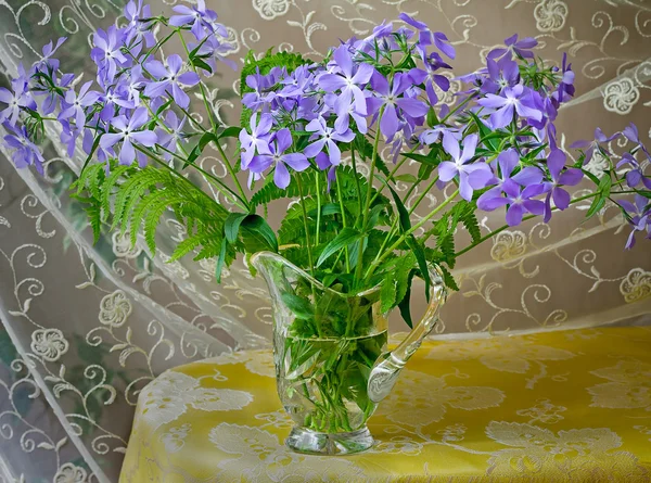 Violettes en fleurs dans un vase en cristal . — Photo
