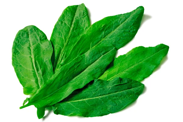 Foglie verdi di spinaci su sfondo bianco — Foto Stock