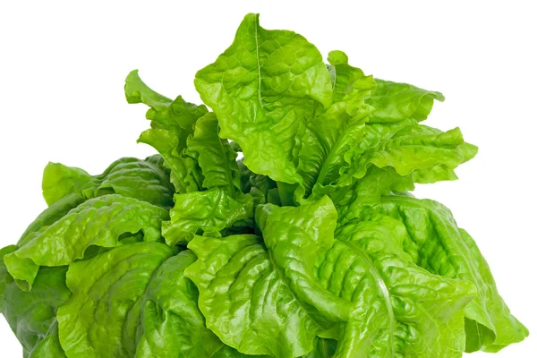 Зелене листя салату на білому фоні — стокове фото