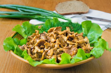 Kızarmış yağlı mantar Cantharellus cibarius marul l ile birlikte bir yemek üzerinde