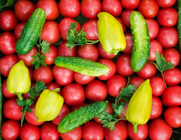 Tomates maduros de cor vermelha brilhante do tamanho pequeno, pimentão um — Fotografia de Stock