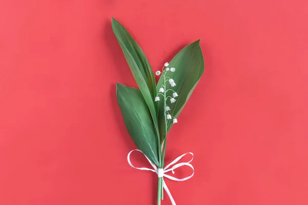 Lily of the Valley bloem op een rode achtergrond — Stockfoto