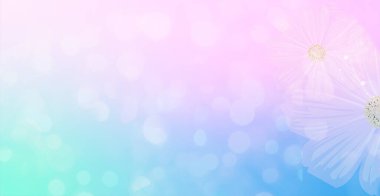 Pastel soyut arka plan, çiçekler, anneler günü konsepti, sevgililer günü, doğum günü. Tebrik kartı