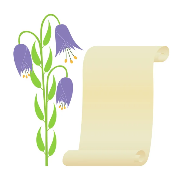 Flower and scroll. — Stock Vector