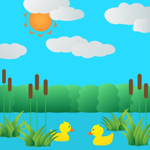 Gölde ördek yavrusu.