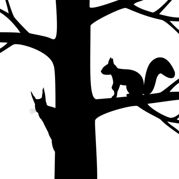 Dos ardillas en el árbol . — Vector de stock