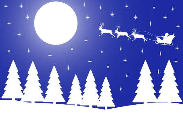 Vector illustration of Christmas night in the winter forest. — Stock Vector