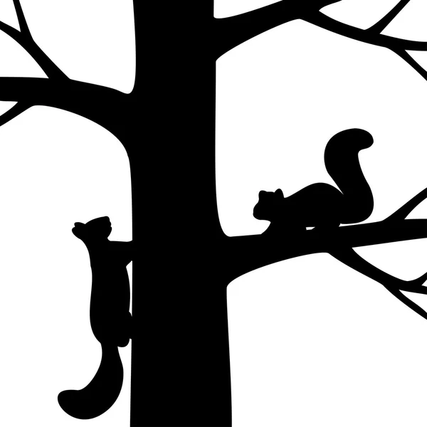 Två ekorre på trädet. — Stock vektor