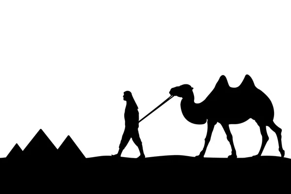 Man med kamel av pyramiderna. — Stock vektor