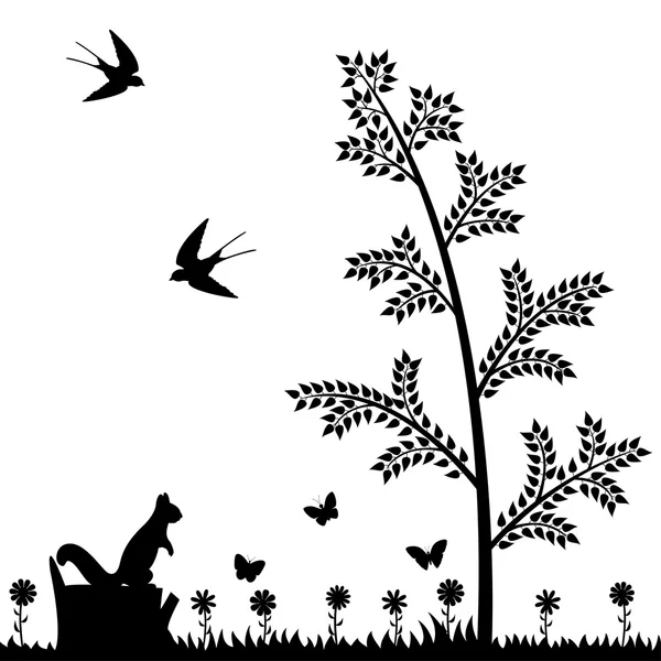 Yaz aylarında orman.