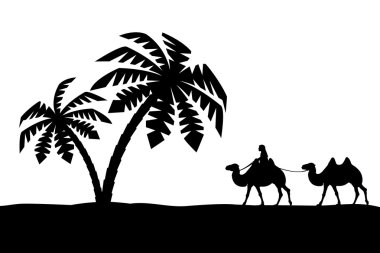 Palmiye ağaçlarında devenin üstünde bir adam.