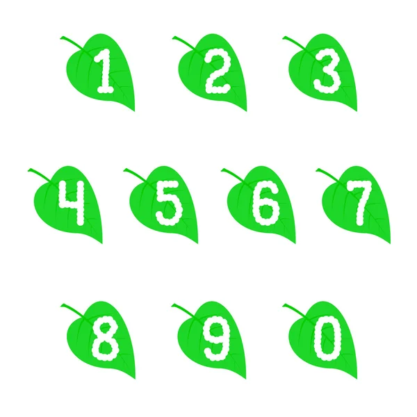 A set of numbers on the leaves. — Stock Vector
