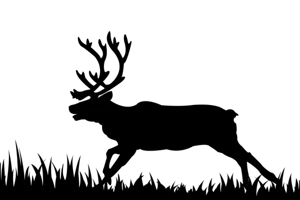 Silhouette of deer in the grass. — Stock Vector