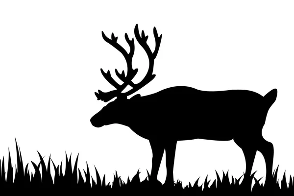 鹿在草丛中的剪影. — 图库矢量图片