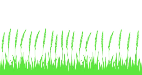 シームレスな緑の芝生と耳. — ストックベクタ