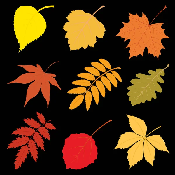 Vector illustration with the image of autumn leaves. — Stock Vector