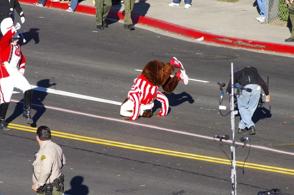 Pasadena, Californië - 2 januari: bucky das, de officiële mascotte van de Universiteit van wisconsin, als hij zich voorbereidt op het doen van een headstand tijdens het toernooi van roses parade gehouden, 2 januari 2012. — Stockfoto