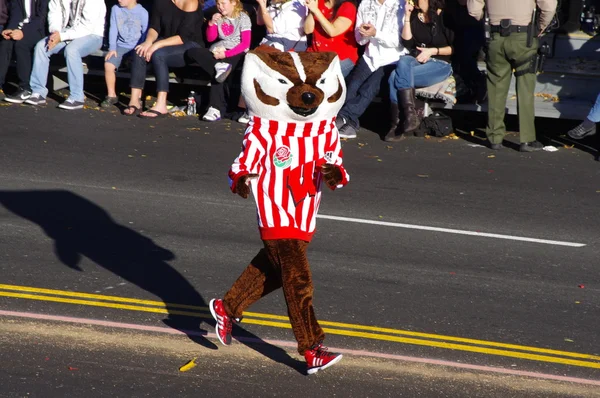 PASADENA, CALIFORNIA - 2 DE ENERO: Bucky Badger, la mascota oficial de la Universidad de Wisconsin, marcha en la 123ª edición del Torneo de Desfile de Rosas celebrado el 2 de enero de 2012 . —  Fotos de Stock