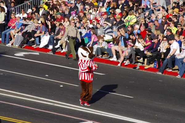 Pasadena, Californië - 2 januari: bucky das, de officiële mascotte van de Universiteit van wisconsin, is afgebeeld tijdens de 123e editie van het toernooi van roses parade gehouden van 2 januari 2012. — Stockfoto