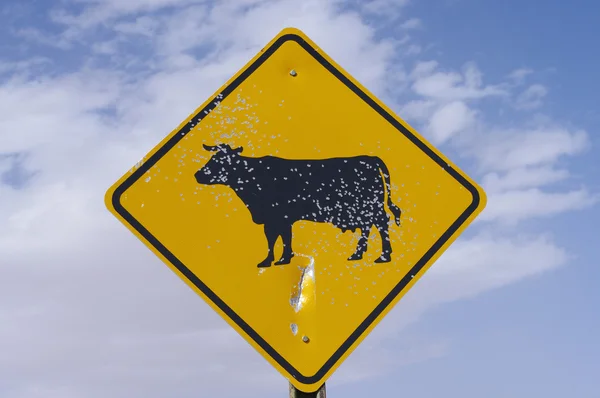 CERCA DE CARRIZOZO, NUEVA MÉXICO, EE.UU. 6 DE OCTUBRE: Típico de los signos de ganado que se encuentran en el oeste americano, esta fotografía de primer plano muestra el signo de haber sido salpicado con pellets de escopeta . —  Fotos de Stock