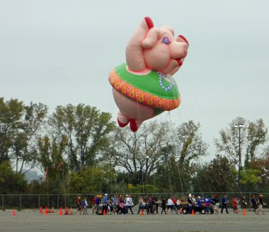 EAST RUTHERFORD, NJ, USA-OCT 5: The 2013 Macy's Thanksgiving Day Parade balloon handlers training session took place this year at MetLife Stadium. Pictured is the Ms. Petula Pig balloon. clipart