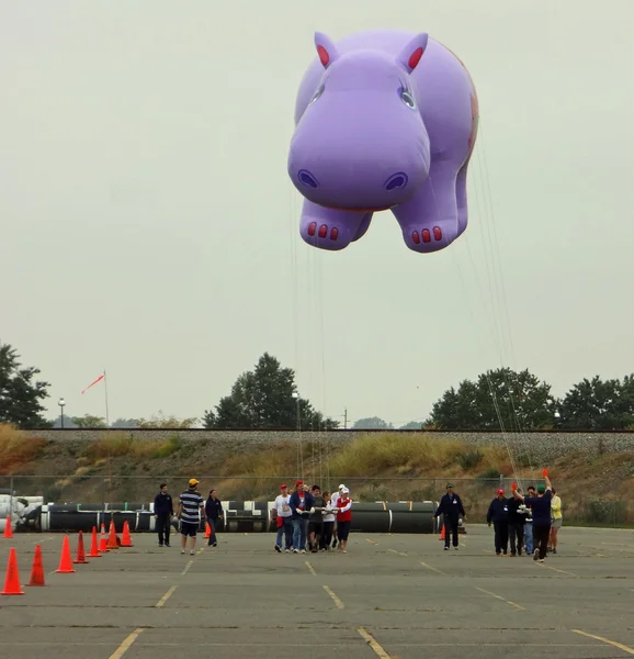 ORIENTE RUTHERFORD, NJ, USA-OTTOBRE 5: Il 2013 Macy's Thanksgiving Day Parade palloncino handlers sessione di formazione ha avuto luogo quest'anno al MetLife Stadium. Nella foto è il palloncino Happy Holiday Hippo . — Foto Stock