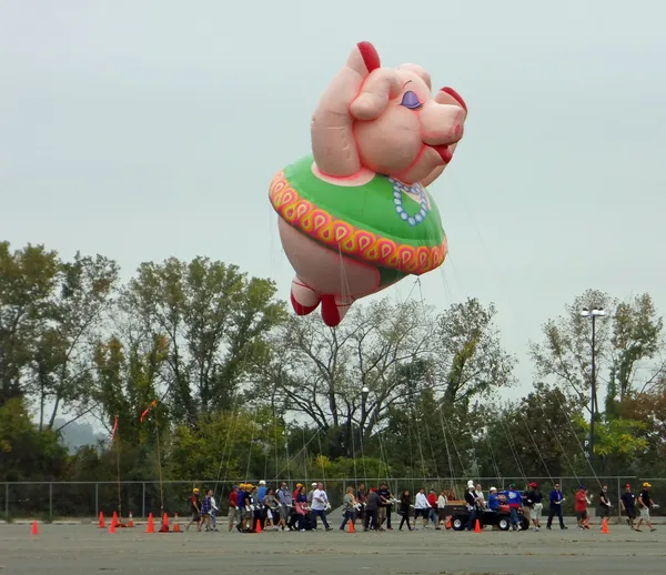 East rutherford, nj, Verenigde Staten-oct 5: de 2013 macy's thanksgiving day parade ballon handlers trainingssessie nam plaats dit jaar metlife stadium. afgebeeld is de ms. petula varken ballon. — Stockfoto