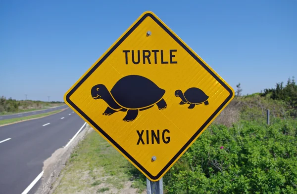 SANDY HOOK, NEW JERSEY, USA-MAGGIO 19: Un segno di attraversamento della tartaruga come visto nel 2014 . Foto Stock Royalty Free