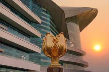 Hong kong bauhinia Meydanı