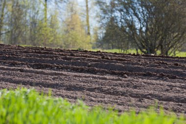 Bahar tarımsal toprak