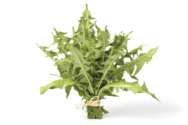 A bunch of Dandelion greens — Stock Photo, Image