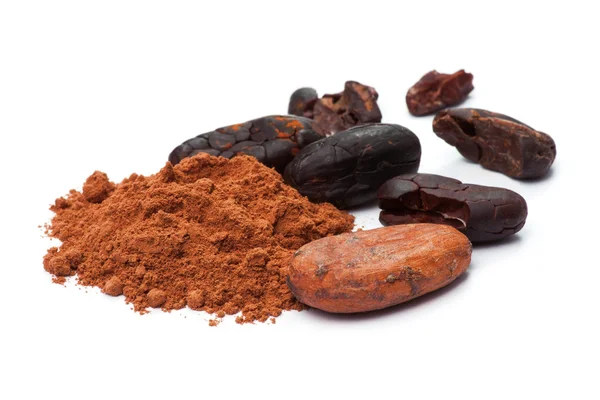 Cacao beans and cacao powder — Stock Photo, Image