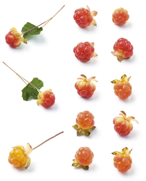 Cloudberries — Stock Photo, Image