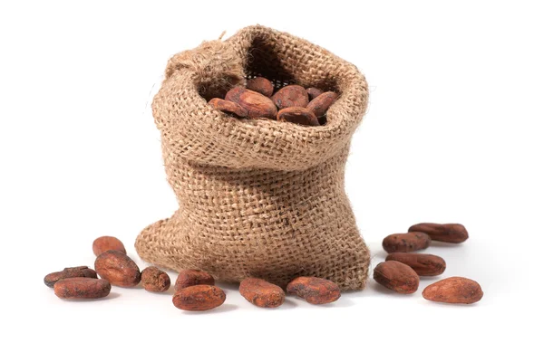 Fagiolo di cacao — Foto Stock