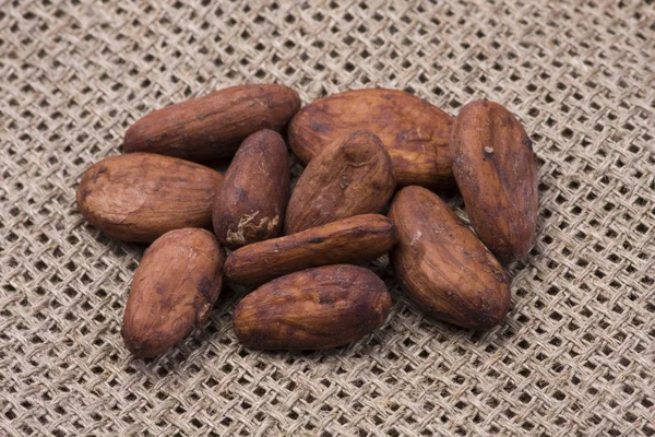 Fagioli di cacao su panno di iuta — Foto Stock