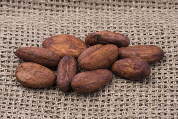 Cocoa beans on burlap — Stock Photo, Image