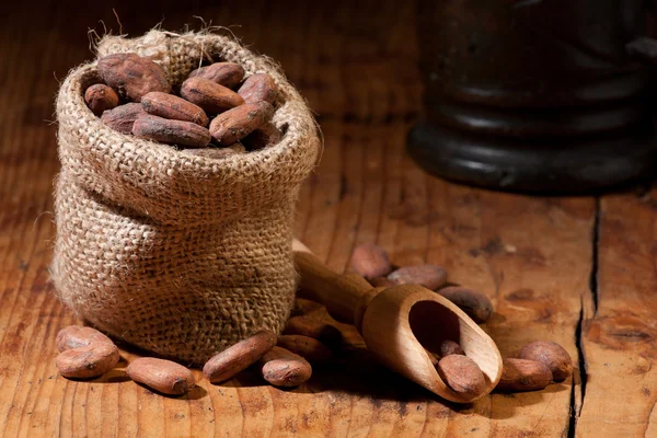 Cocoa sack — Stock Photo, Image