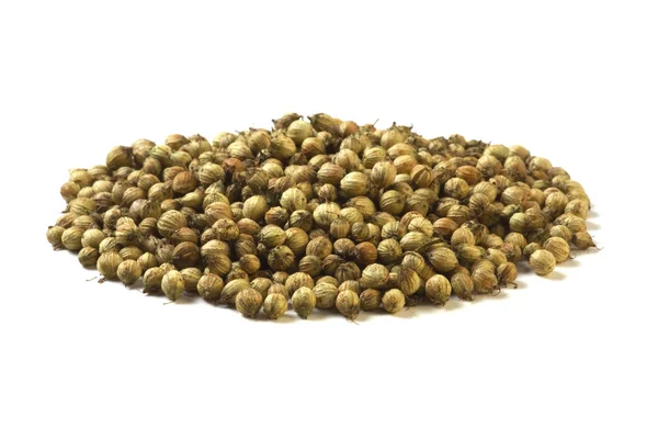 Coriander seeds — Stock Photo, Image