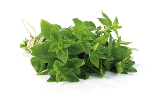 Frisch gepflückter Oregano — Stockfoto