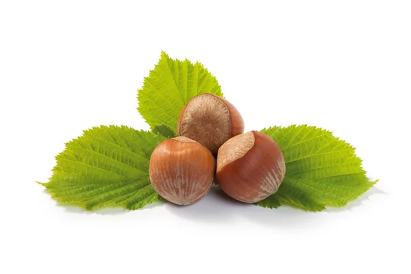Hazelnuts and leaf Composition — Stock Photo, Image