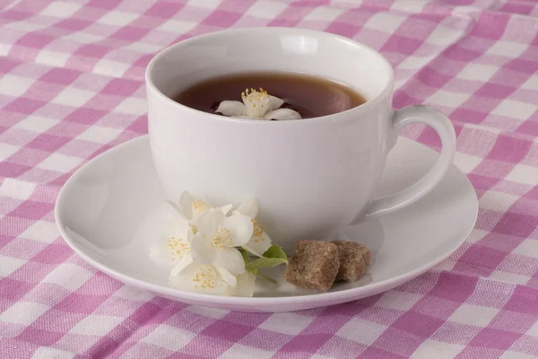 Jasmine tea and pink tablecloth — Stock Photo, Image