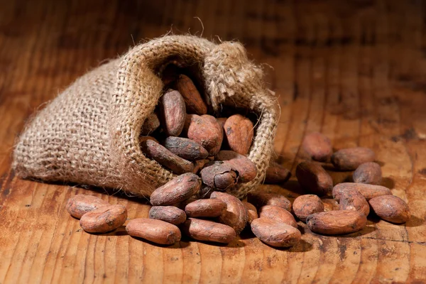 Cocoa in bag — Stock Photo, Image